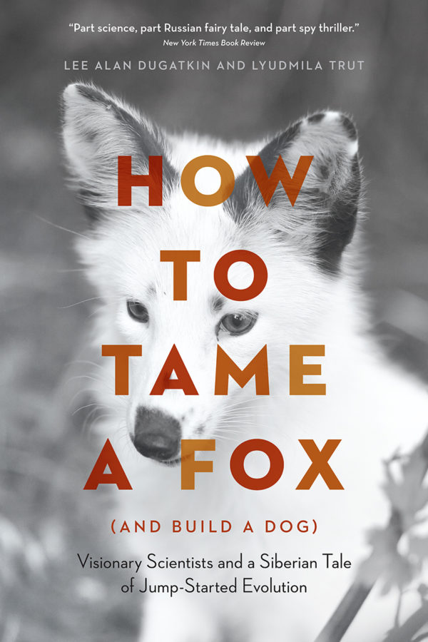 Brendan Carton – How To Tame A Fox by 