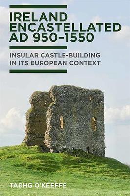 Tadhg O'Keefe | Ireland Encastlellated: AD 950-1550 | 9781846828638 | Daunt Books