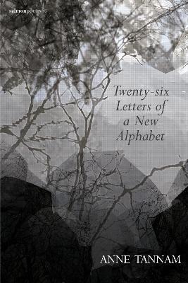 Anne Tannan | Twenty-six Letters of a New Alphabet | 9781912561315 | Daunt Books