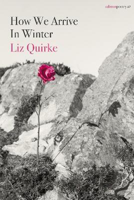 Liz Quirke | How We Arrive In Winter | 9781912561964 | Daunt Books