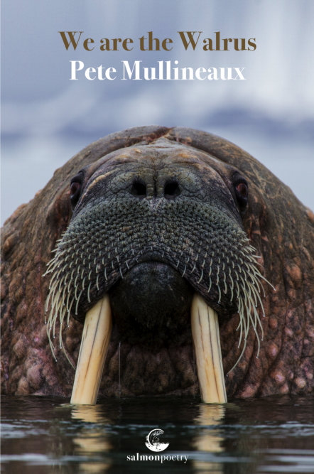 We are the Walrus by Pete Mullineaux