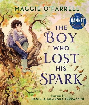 The Boy Who Lost His Spark by Maggie O'Farrell