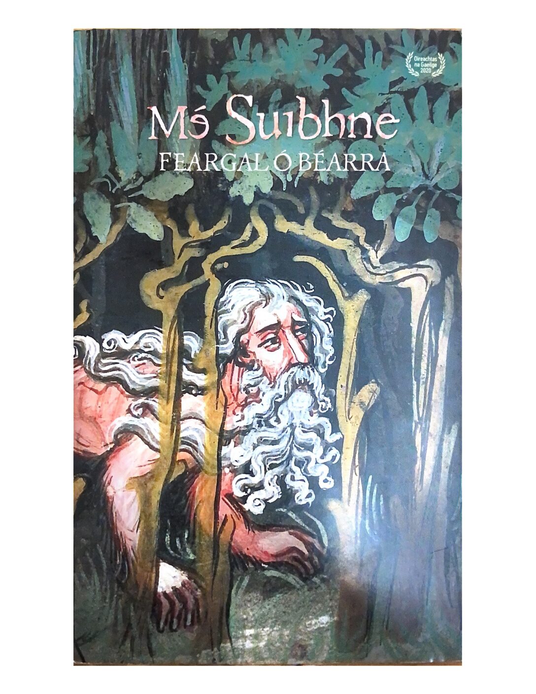 Mé Suibhne by Feargal Ó Béarra