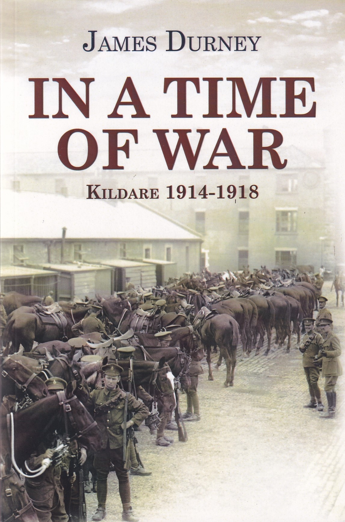 In A Time Of War: Kildare 1914–1918 by James Durney