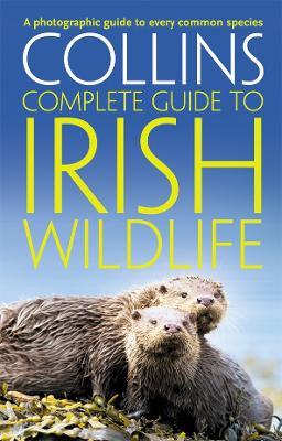 Derek Mooney | Collins Complete Irish Wildlife | 9780007349517 | Daunt Books