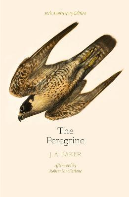 J. A. Baker | Peregrine | 9780008216214 | Daunt Books