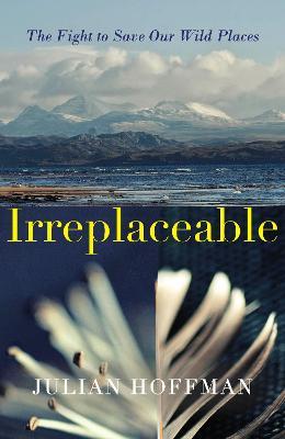 Irreplaceable | Julian Hoffman | Charlie Byrne's