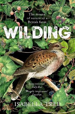 Isabella Tree | Wilding: The Return of Nature to a British Farm | 9781509805105 | Daunt Books
