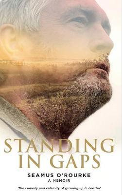 Seamus O'Rourke | Standing in Gaps | 9781527265974 | Daunt Books