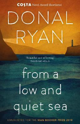 Donal Ryan | From a Low and Quiet Sea | 9781784160265 | Daunt Books