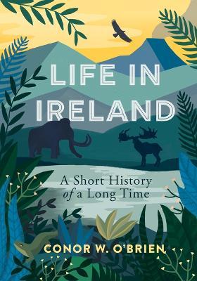 Conor W. O'Brien | Life in Ireland: A Short History of a Long Time | 9781785373848 | Daunt Books