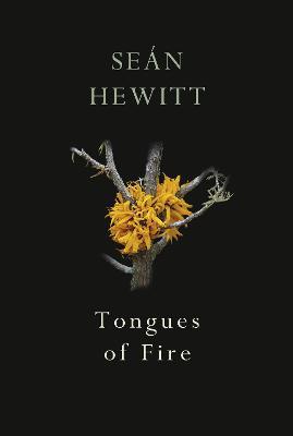 Tongues of Fire by Seán Hewitt
