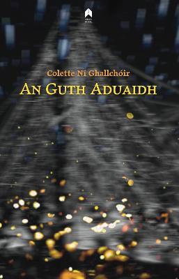 Colette Ní Ghallchóir | An Guth Aduaidh | 9781851322541 | Daunt Books