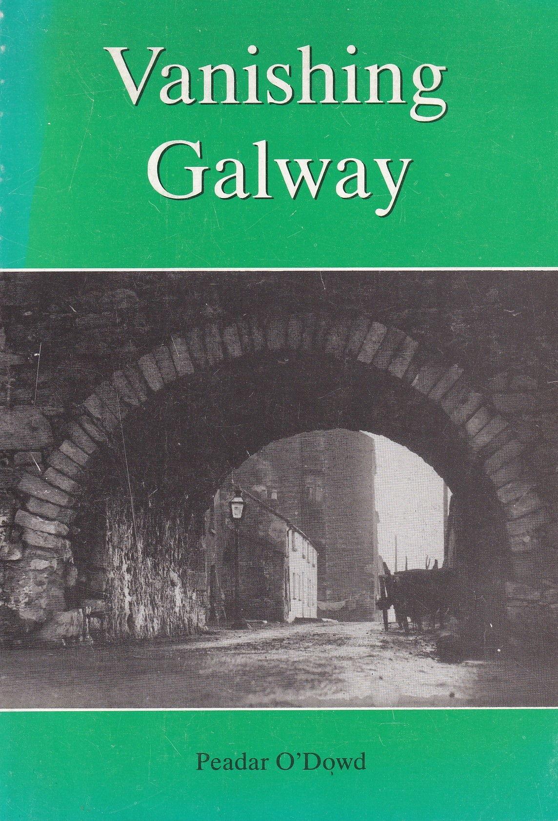 Vanishing Galway by Peadar O'Dowd