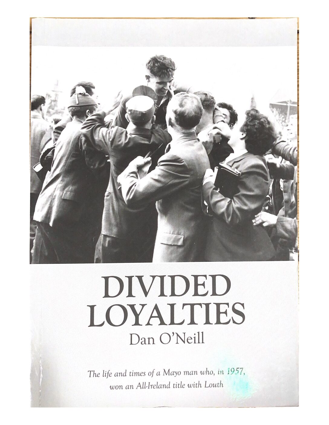 Divided Loyalties by Dan O'Neill