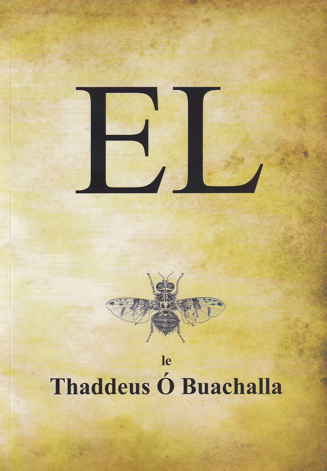 El by Thaddeus Ó Buachalla