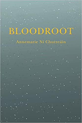 Bloodroot | Annemarie Ní Churreáin | Charlie Byrne's