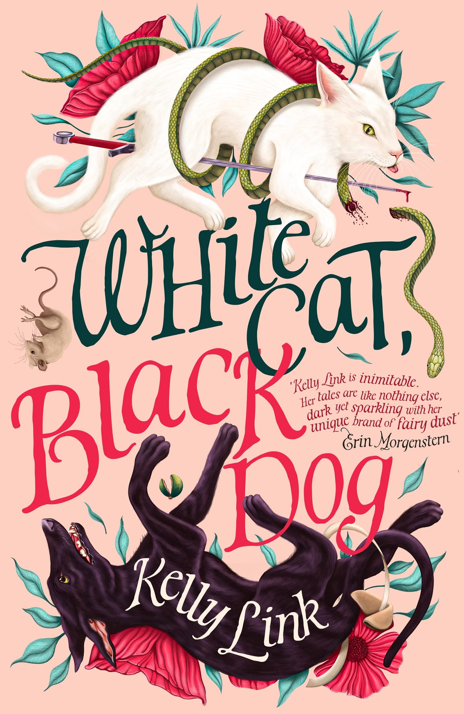 White Cat, Black Dog: Stories | Kelly Link | Charlie Byrne's
