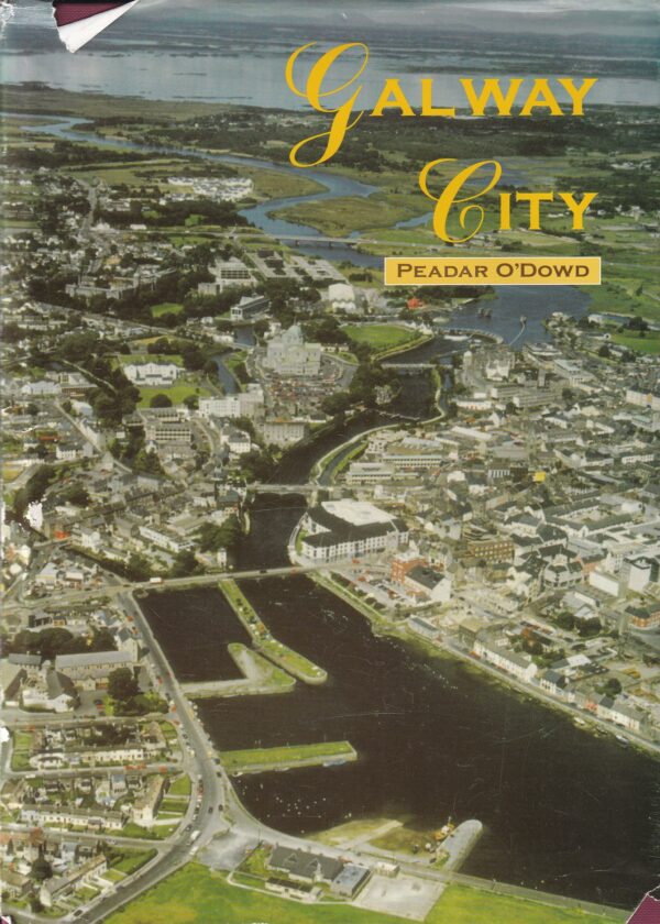 Galway City by Peadar O'Dowd