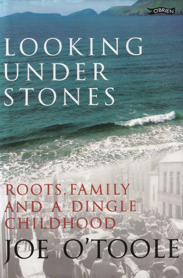 Looking Under Stones: Roots, Family and a Dingle Childhood by Joe O'Toole