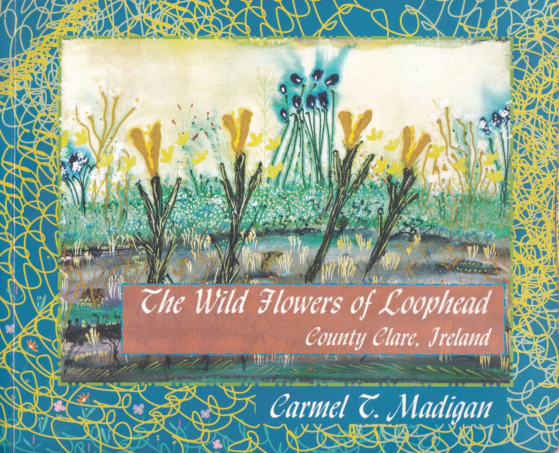 The Wild Flowers of Loop Head, County Clare, Ireland | Carmel T. Madigan | Charlie Byrne's