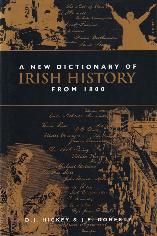 A New Dictionary of Irish History from 1800 by D. J. Hickey & J. E. Doherty