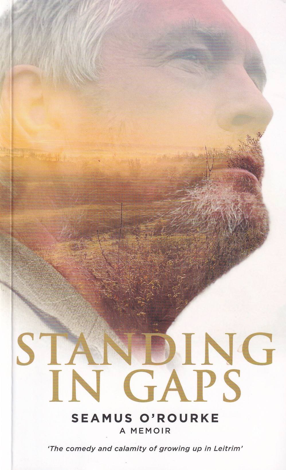 Standing in Gaps [Signed] | Seamus O'Rourke | Charlie Byrne's