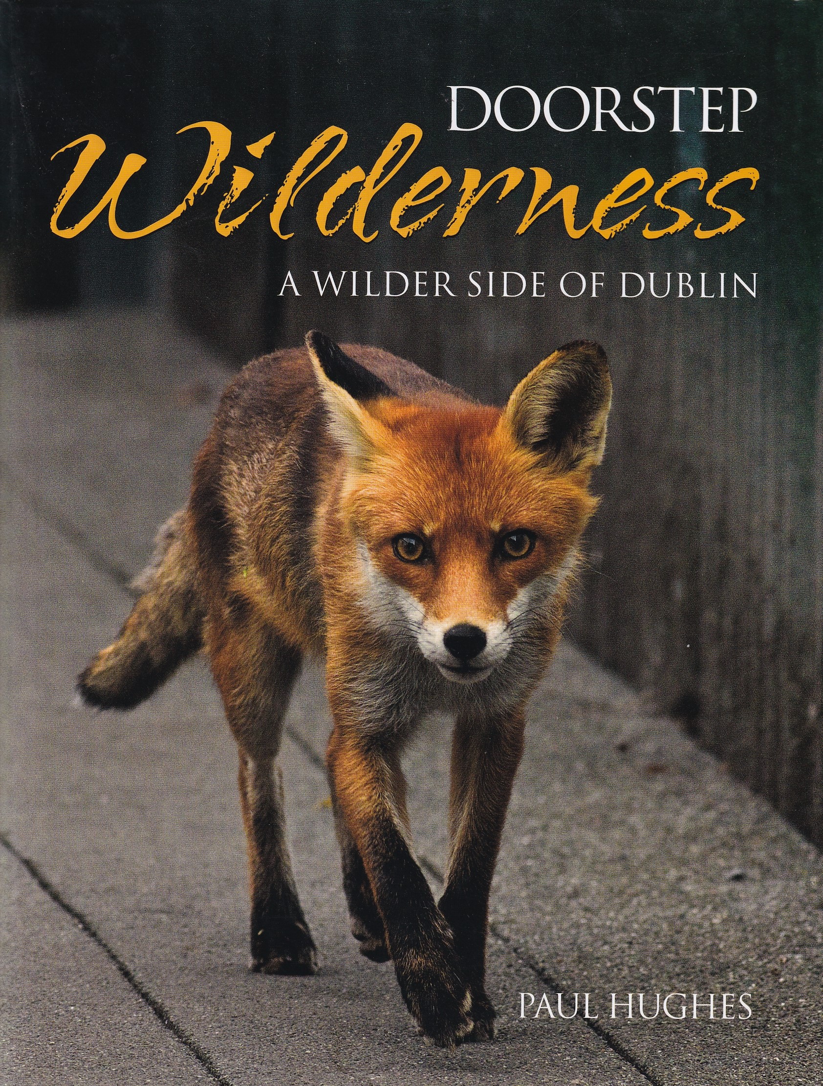 Doorstep Wilderness: A Wilder Side of Dublin | Hughes, Paul | Charlie Byrne's