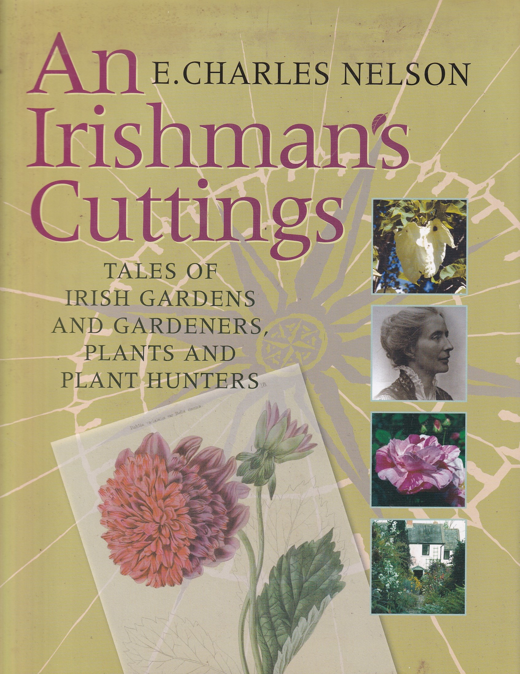 An Irishman’s Cuttings: Stories of Gardens and Gardeners, Plants and Plant Hunters | Nelson, Charles E. | Charlie Byrne's