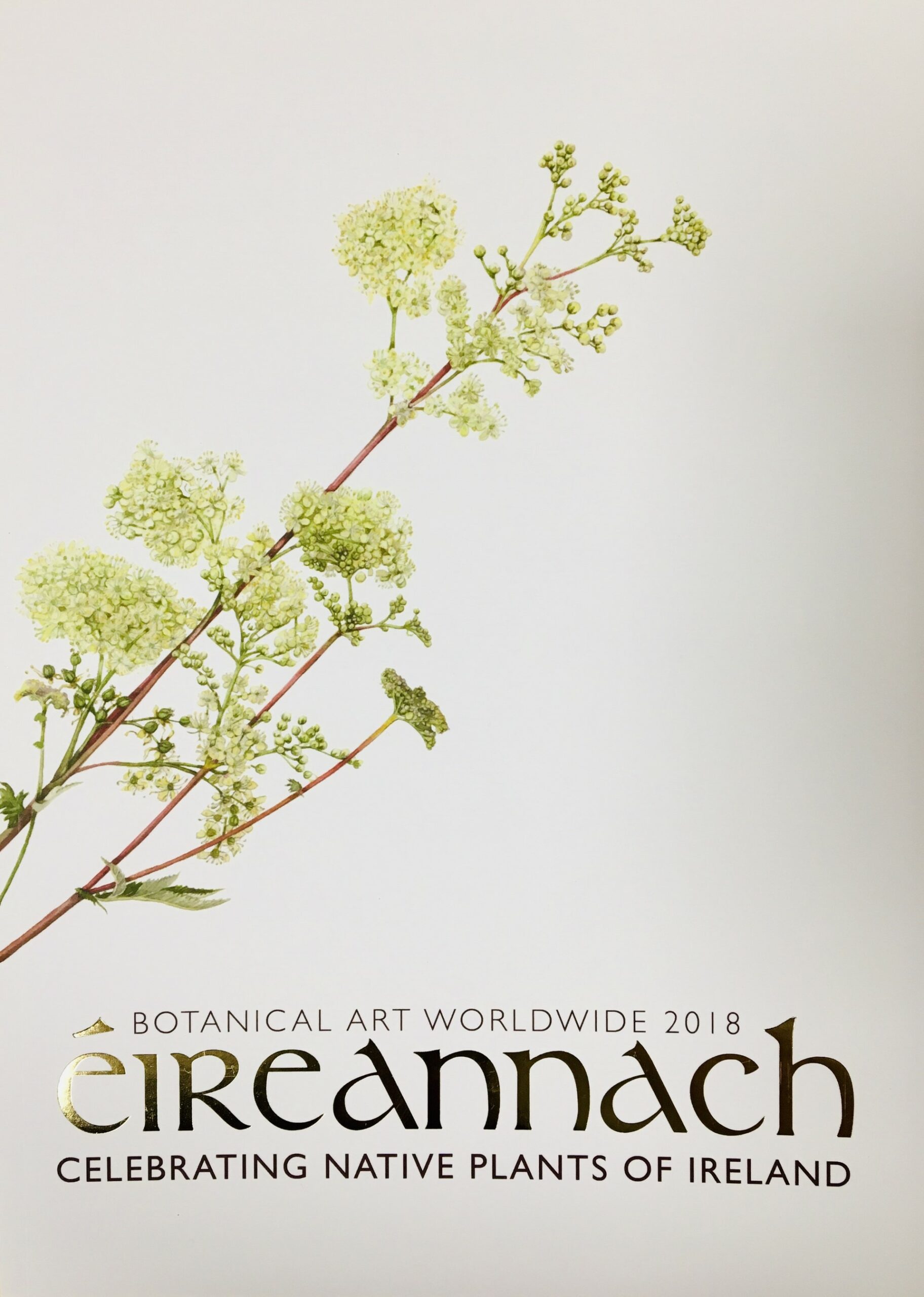 Éireacnnach : Celebrating Native Plants of Ireland by The Irish Society of Botanical Artists