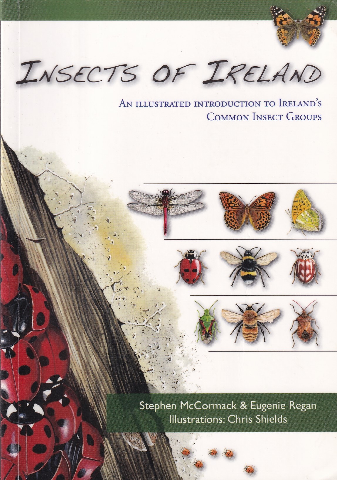 Insects of Ireland: An Illustrated Introduction to Ireland’s Butterflies, Ladybirds, Ants | McCormack, Stephen | Charlie Byrne's
