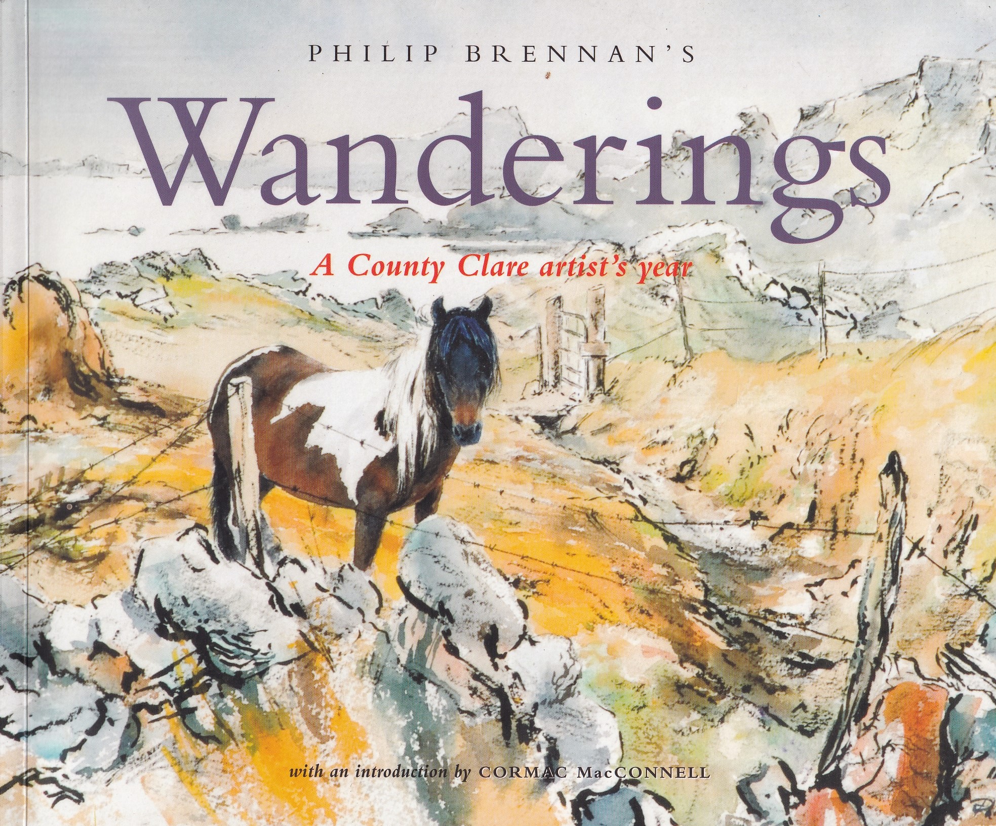 Philip Brennan’s Wanderings: A County Clare Artist’s Year by Brennan, Philip