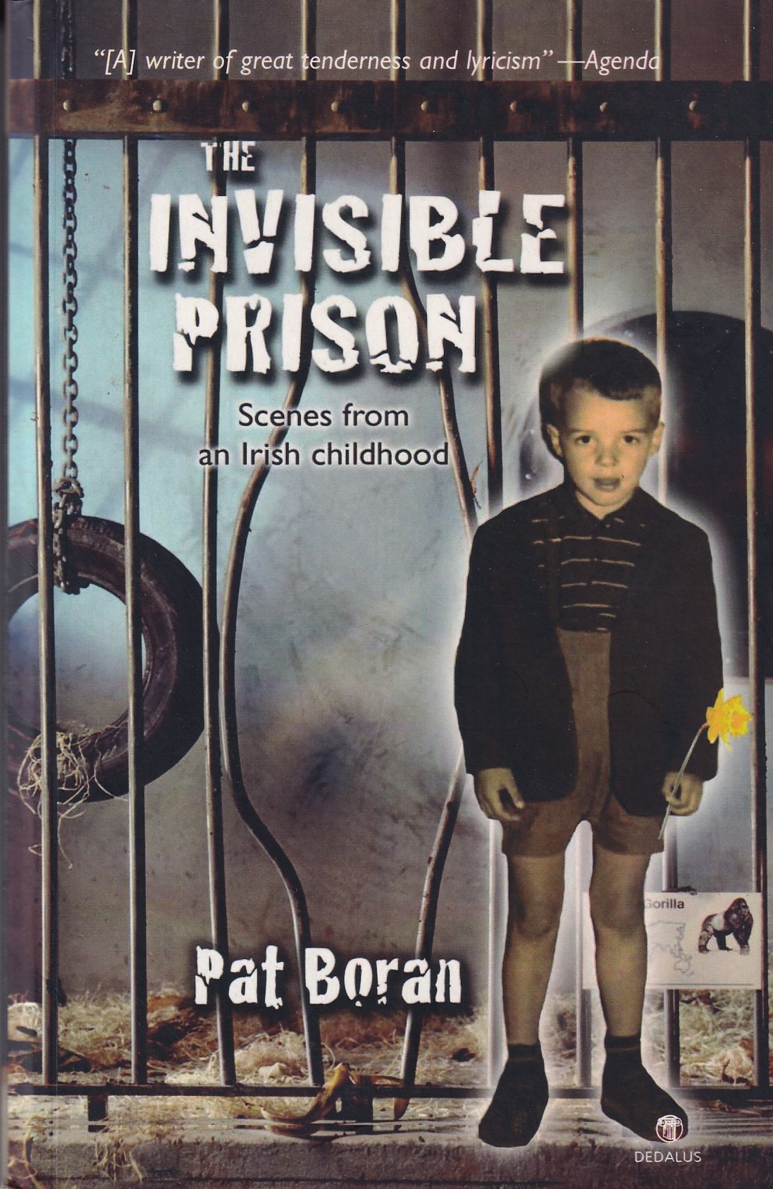 The Invisible Prison: Scenes from an Irish Childhood by Boran, Pat