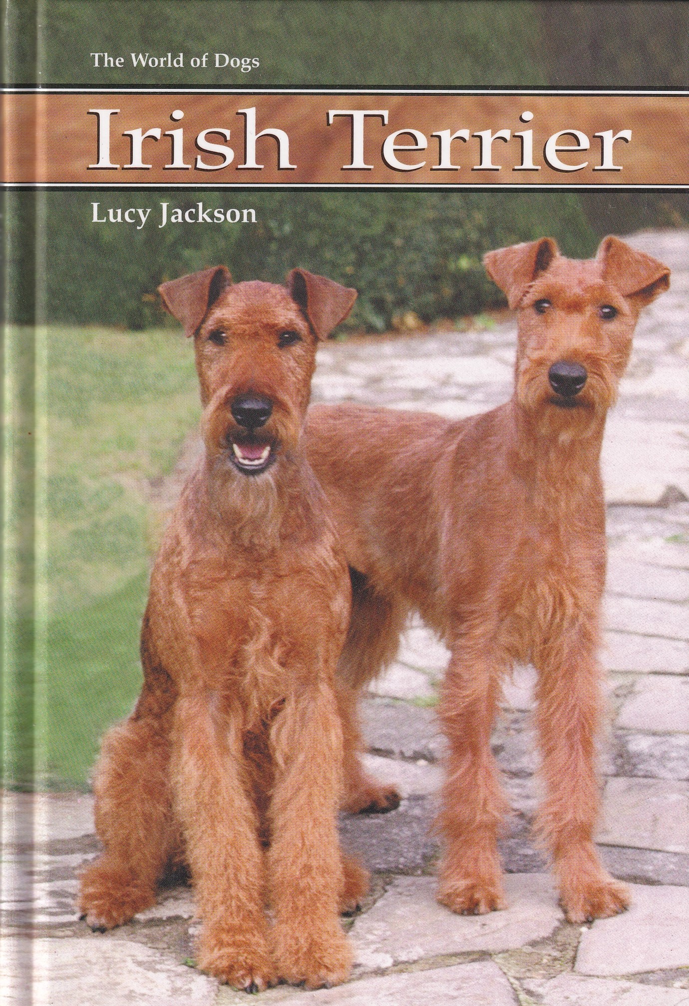 Irish Terrier (World of Dogs S.) | Jackson, Lucy | Charlie Byrne's