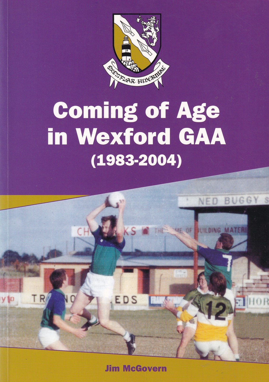 Coming of Age in Wexford G.A.A. (1983-2004) by McGovern, James