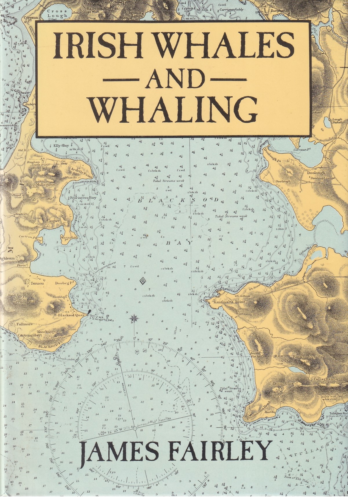 Irish Whales and Whaling | James Fairley | Charlie Byrne's