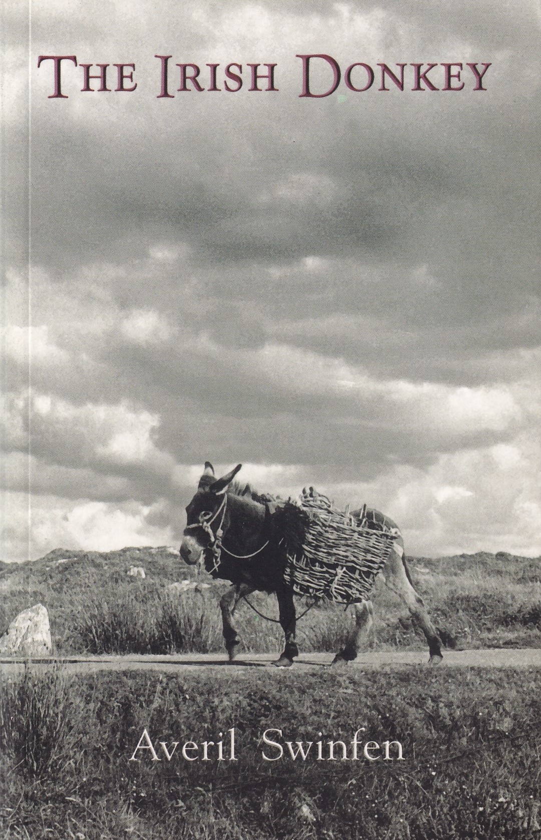 The Irish Donkey | Averil Swinfern | Charlie Byrne's