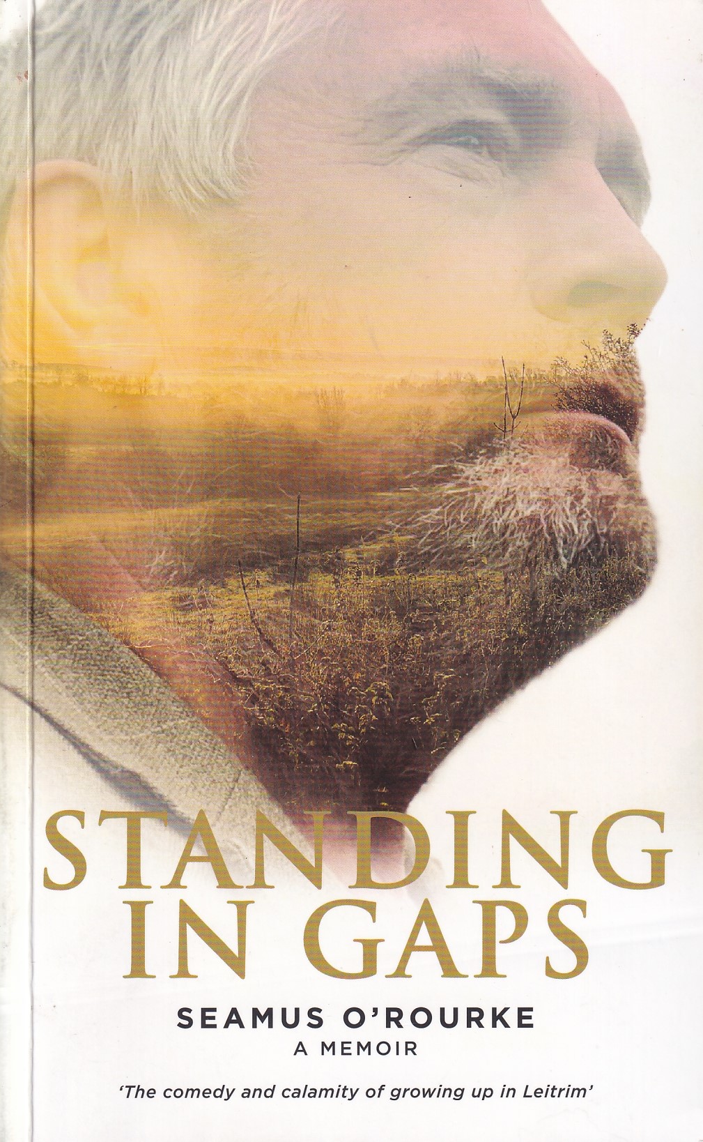 Standing in Gaps: A Memoir [SIGNED] by Seamus O'Rourke