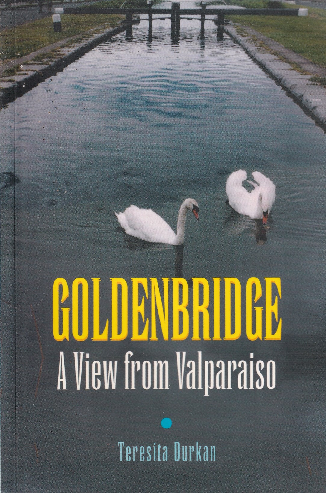 Goldenbridge: A View from Valparaiso | Teresita Durkan | Charlie Byrne's