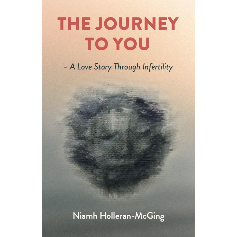 The Journey to You by Niamh Holleran-McGing