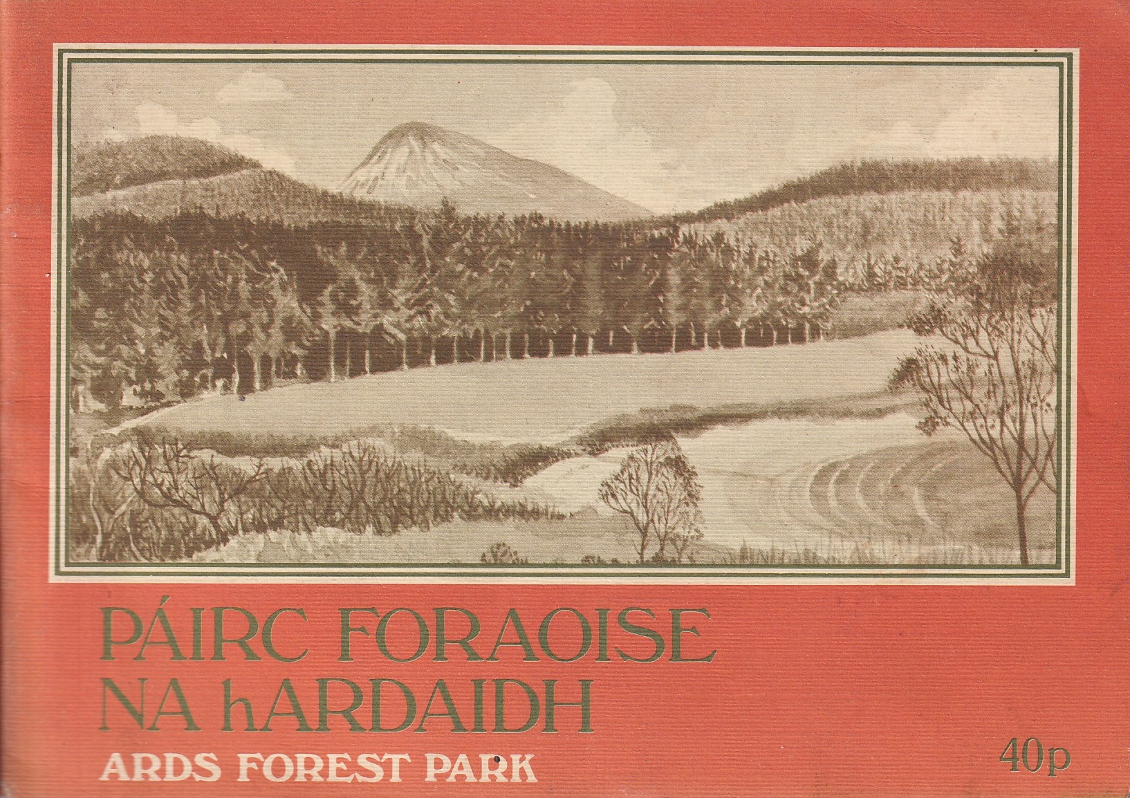 Páirc Foraoise na hArdaidh: Ards Forest Park | Forest and Wildlife Service | Charlie Byrne's