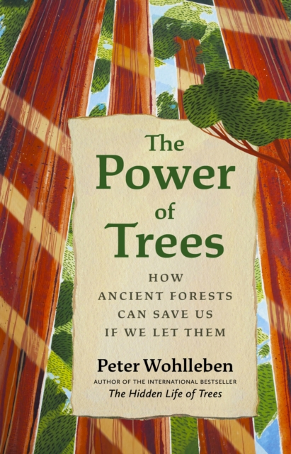 The Power of Trees : How Ancient Forests Can Save Us if We Let Them by Peter Wohlleben
