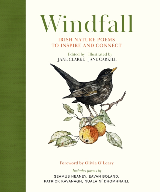 Windfall : Irish Nature Poems to Inspire and Connect | Jane Clarke | Charlie Byrne's
