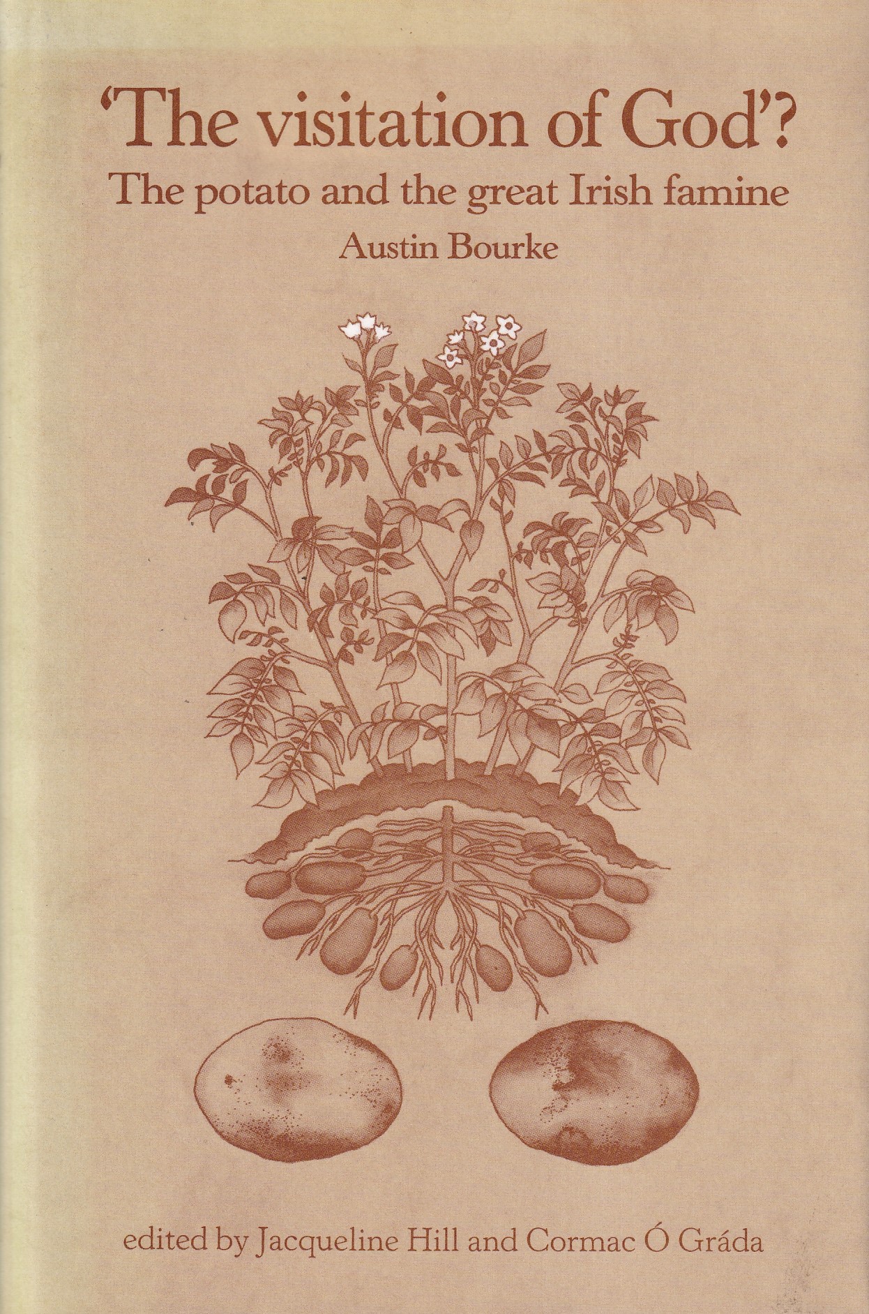 ‘The visitation of God?’: The potato and the great Irish famine by Austin Bourke