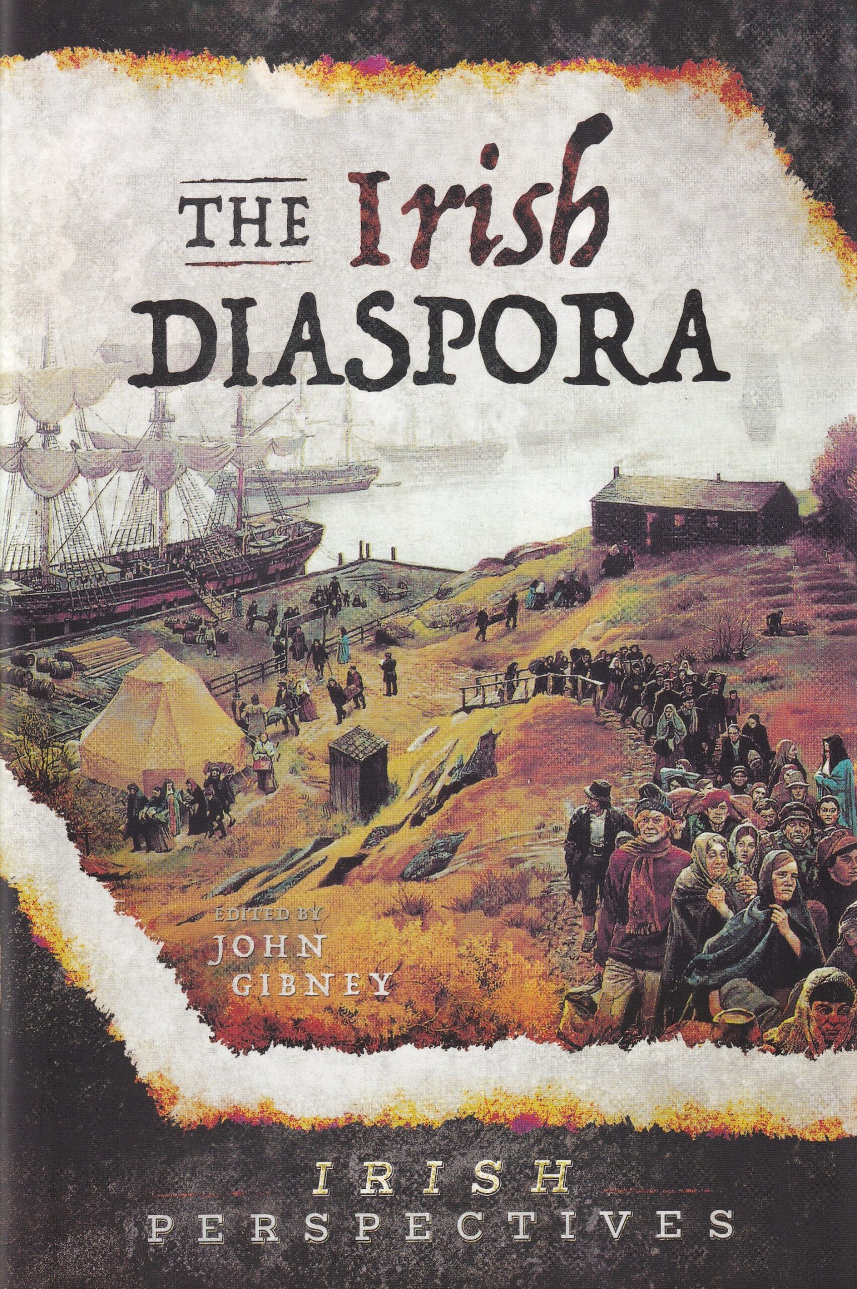 The Irish Diaspora: Irish Perspectives | John Gibney (ed.) | Charlie Byrne's