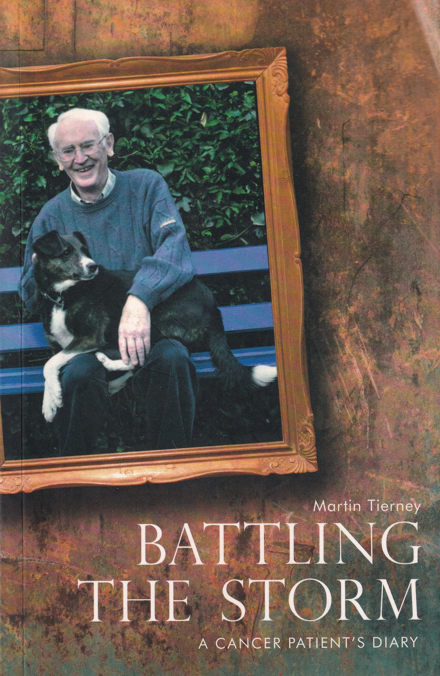 Battling the Storm: A Cancer Patient s Diary by Martin Tierney