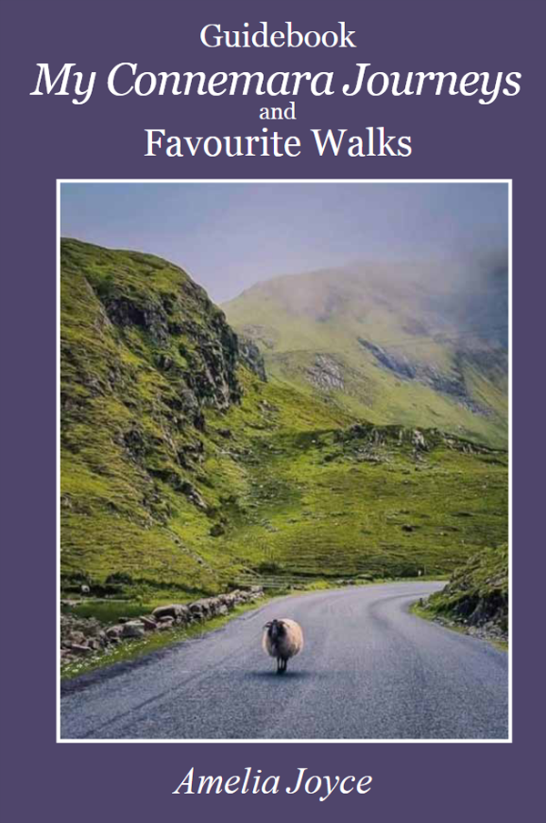 My Connemara Journeys & Favourite Walks by Amelia Joyce