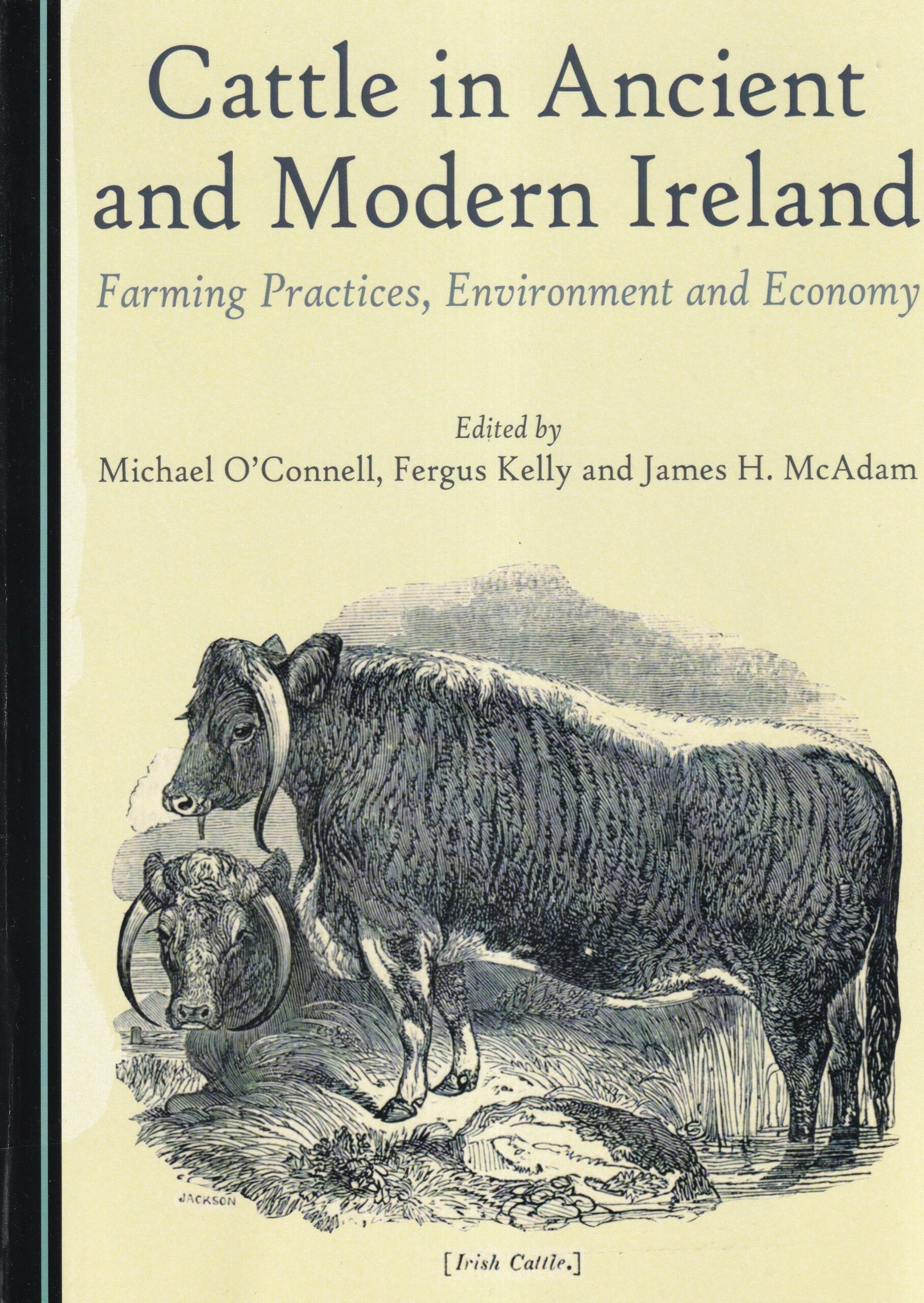 Cattle in Ancient and Modern Ireland: Farming Practices, Environment and Economy by Michael O'Connell, Fergus Kelly and James H. McAdam (eds.)