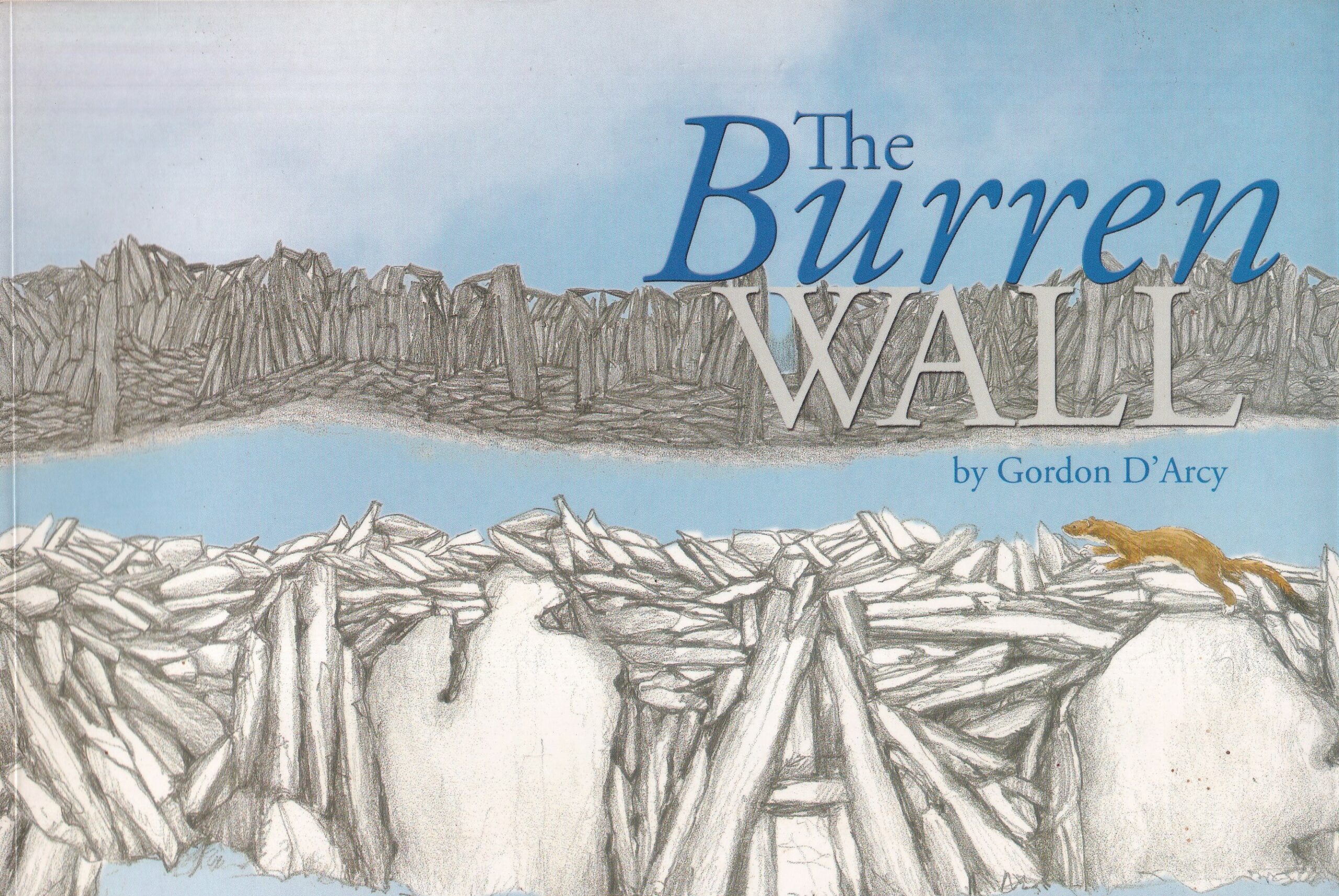 The Burren Wall by Gordon D'Arcy