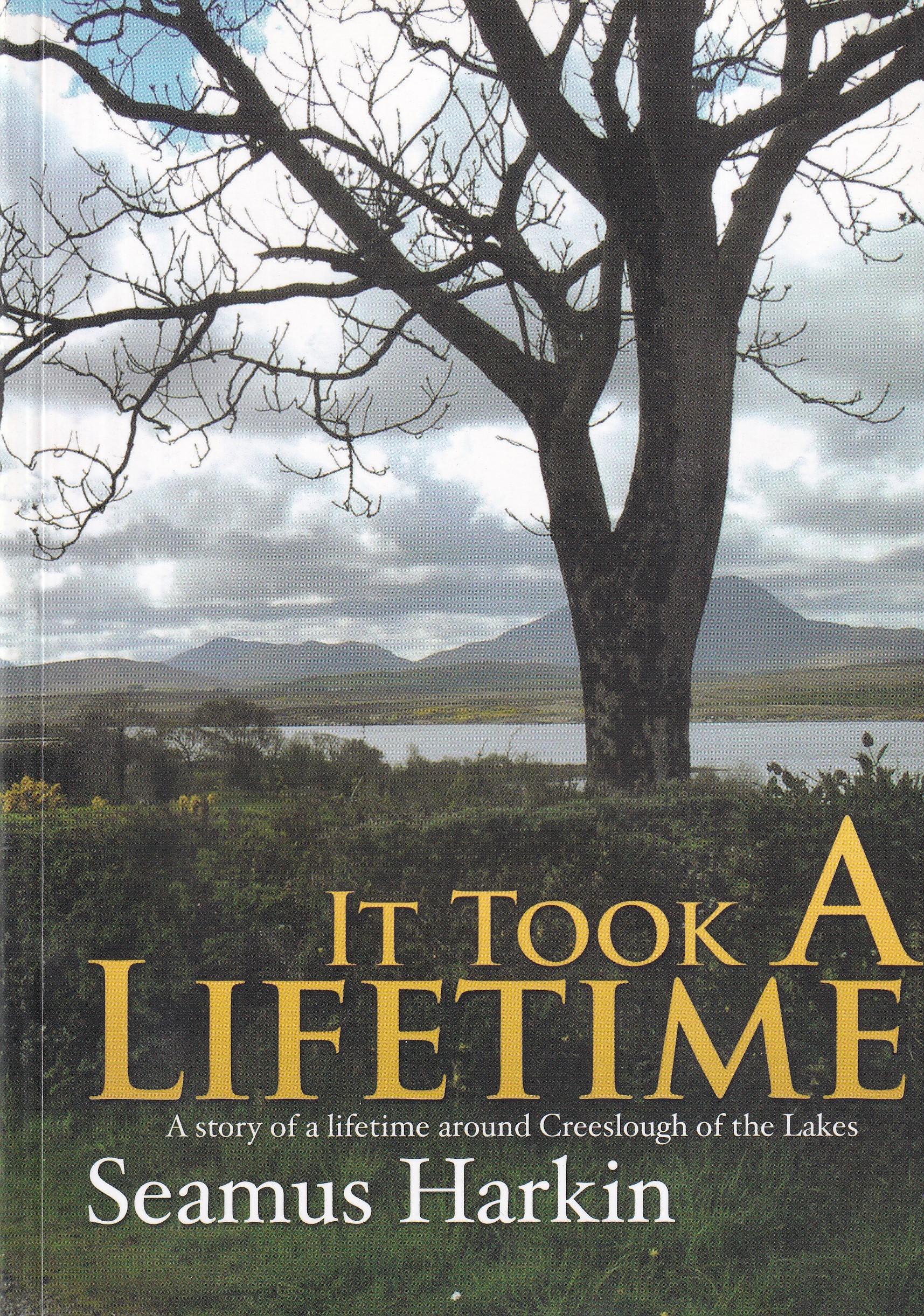 It Took a Lifetime: A Story of a Lifetime Around Creeslough of the Lakes by Seamus Harkin